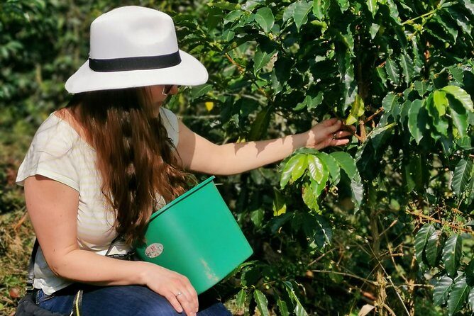 Coffee Farm & ATVs Private Tour in Medellin: Stunning Views & Fun - Key highlights worth planning for