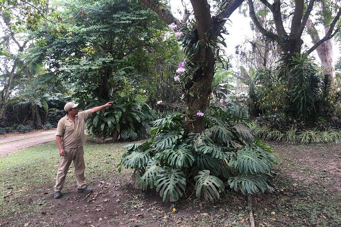 Coffee Farm Experience Private Day Tour - Coffee tasting and coffee liquor: the part people remember