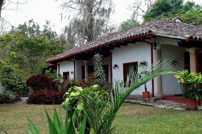 Coffee Farm Experience Private Day Tour - Private guiding style: what makes this feel personal