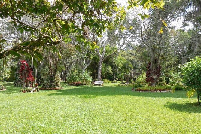 Coffee Farm Experience Private Day Tour - Price and value: why $110 can make sense for Bogotá