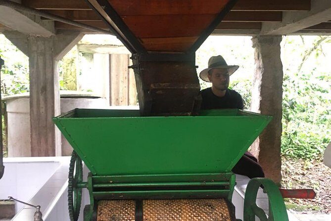 Coffee Farm Experience Private Day Tour - Who should book this coffee farm day and who should pass