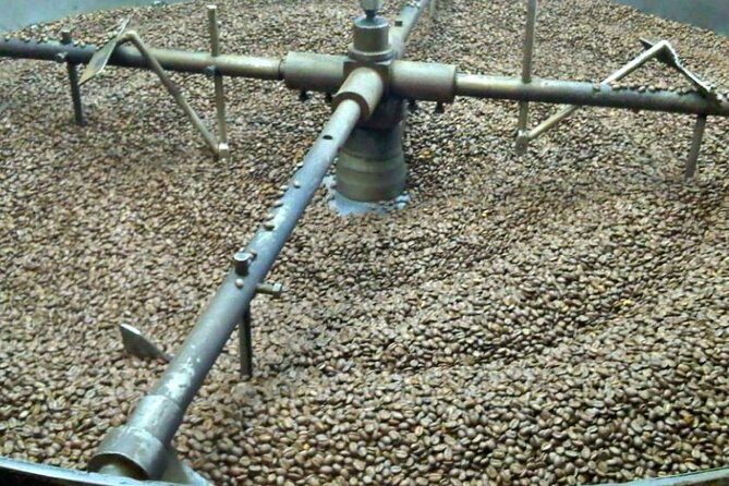Coffee Farm Experience Private Day Tour - Bogotá pickup and the scenic village viewpoints on the ride out