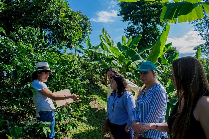 Coffee Tour. - Key Things That Make This Coffee Tour Worth It