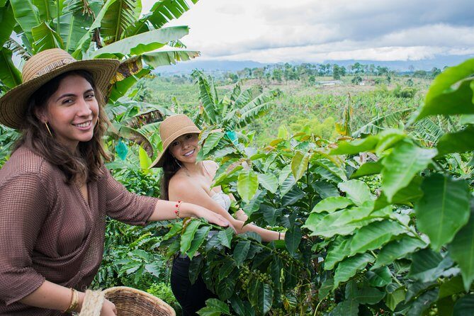 Coffee Tour. - Roasting and Preparation: Why the Same Bean Can Taste Different