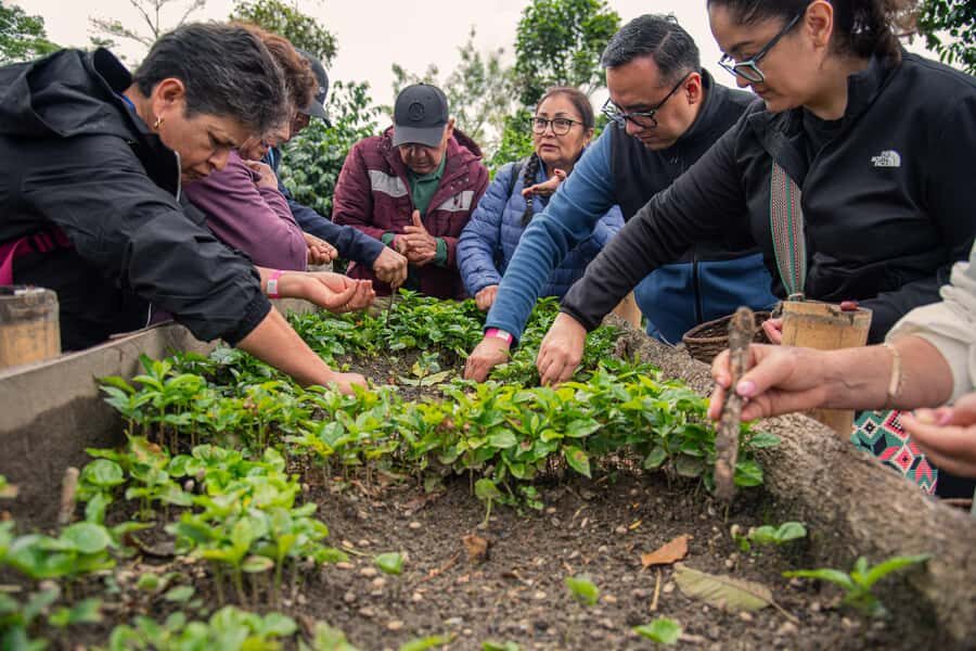Coffee Tour at Finca El Ocaso Salento: Traditional Spanish Farm - Coffee in Salento’s countryside: what this 90-minute farm tour feels like