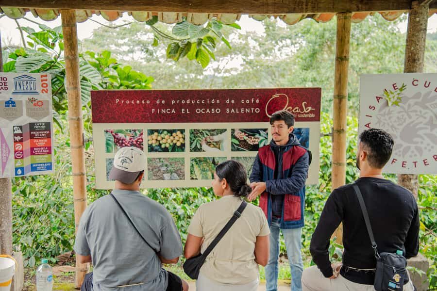 Coffee Tour at Finca El Ocaso Salento: Traditional Spanish Farm - Composting and crop fertilization: why soil work shows up in your cup