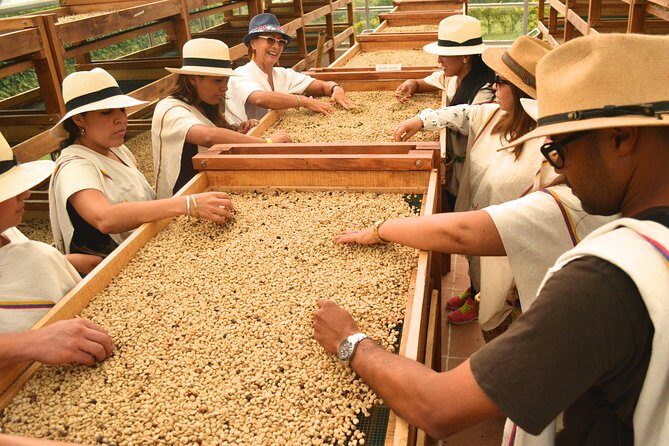 Coffee Tour at the Finca del Café - Coffee Culture in UNESCO Country: What You’re Really Seeing