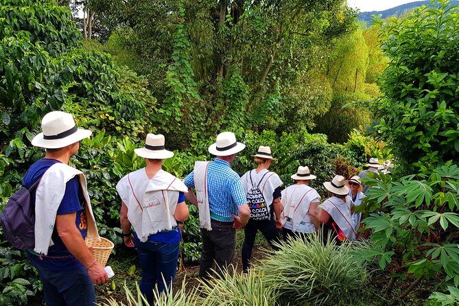 Coffee Tour at the Finca del Café - Processing on the Estate: Where Coffee Gets Its Shape