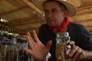 Coffee Tour in Medellin - A Medellín coffee farm tour that fits a tight travel schedule