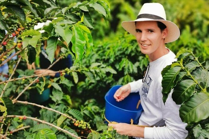 Coffee Tour in the Beautiful Jardin Town: Adventure in the Andes - Price and Value: What $212 Covers (and Why It’s Not Just a Coffee Tour)