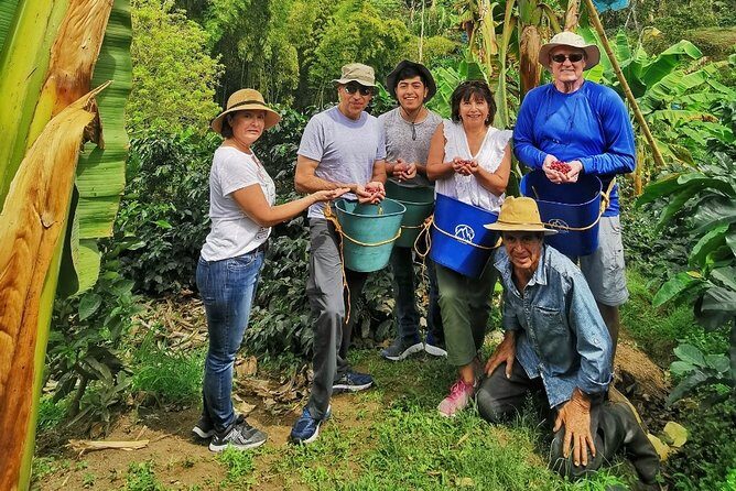 Coffee Tour in the Beautiful Jardin Town: Adventure in the Andes - Coffee Picking Isn’t a Trick: You Can Do It