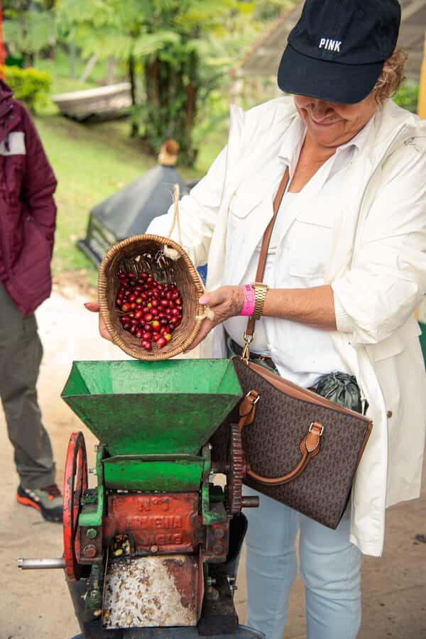 Coffee Tour Salento-Ocaso Farm- English Tour - Walking the Plantations: Harvesting, Sowing, Composting, and Fertilization