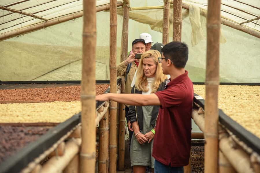 Coffee Tour Salento-Ocaso Farm- English Tour - Inside the Processing: Hopper, Pulper, Drying, Storage, and Marketing