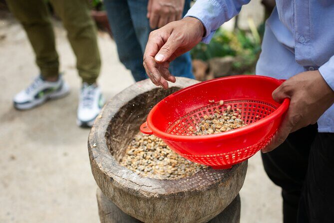 Coffee Tour with arrival on horseback and sugar cane processing - Price and logistics: paying $75.90 for time well used