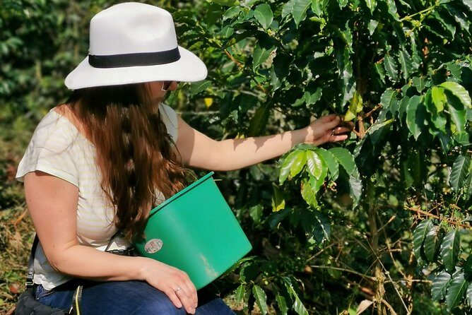 Comuna 13 & Coffee Farm Private Tour in Medellin | The Best Combo - Key things you’ll notice on this combo tour