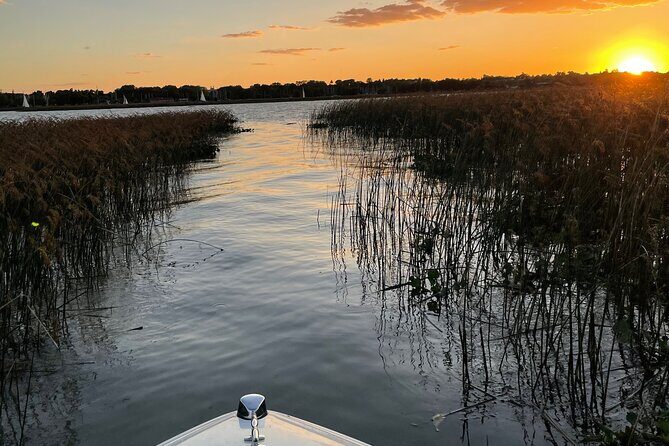 Customized Tigre Delta Tour lunch and drink included - Key highlights you’ll actually care about