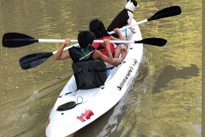 Customized Tigre Delta Tour lunch and drink included - After lunch: birdwatching, native plants, water time, and a walk