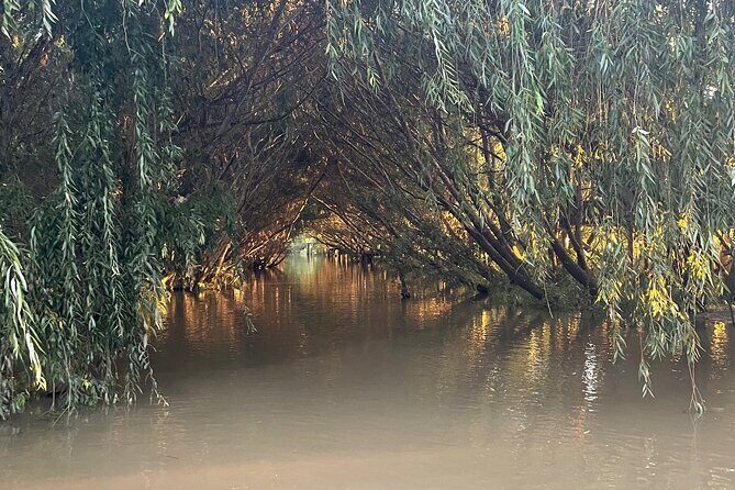 Customized Tigre Delta Tour lunch and drink included - Who this Tigre Delta private tour suits best