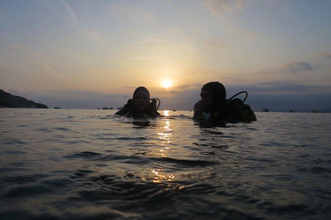 Diving baptism in the Marine Reserve of Cabo Tiñoso - Key highlights you’ll actually care about