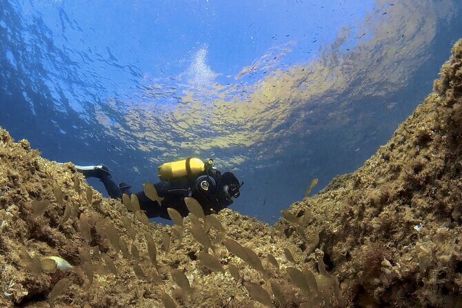 Diving baptism in the Marine Reserve of Cabo Tiñoso - Meeting in La Azohía: a practical start near Cartagena