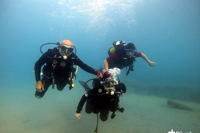 Diving baptism in the Marine Reserve of Cabo Tiñoso - The underwater baptism moment: fish, reefs, and that first real breath