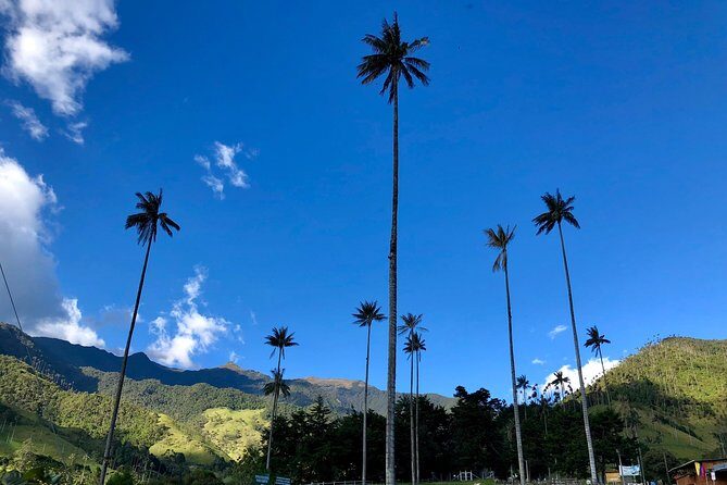 Do it yourself 11 days tour in Colombia (customizable) - Day 1 in Bogotá: arrive north, settle fast, sleep well