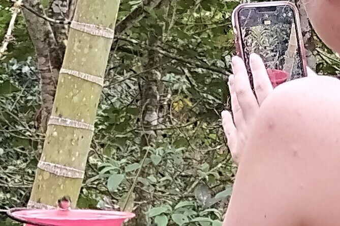 Easy Birdwatching in Cali Colombia (4 Hours) - The Goat Farm Stop: Short, Sweet, and Actually Worth the Time