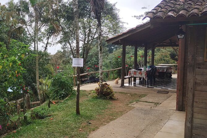 Easy Birdwatching in Cali Colombia (4 Hours) - Price and Value: What $94.99 Really Covers