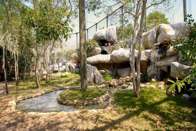 Eco Plan National Aviary and Lunch in Playa Mambo Beach Barú - National Aviary de Colombia: 170 Species Plus a Real Bird Show