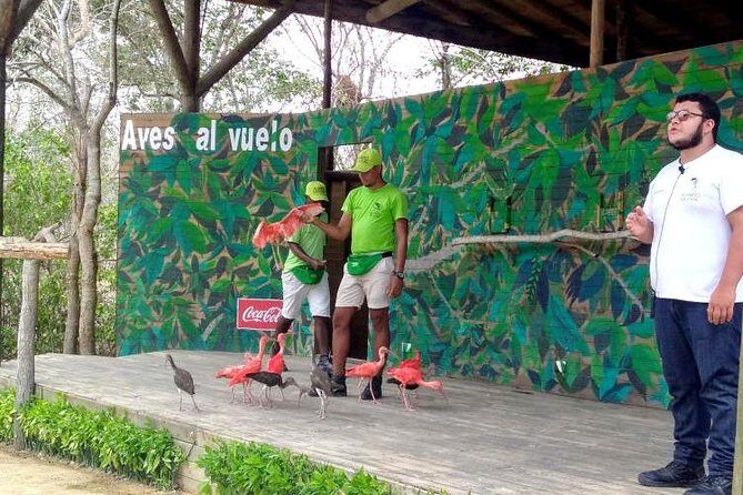 Eco Plan National Aviary and Lunch in Playa Mambo Beach Barú - The 2-Hour Trek: How to Get the Most From the Park Walk