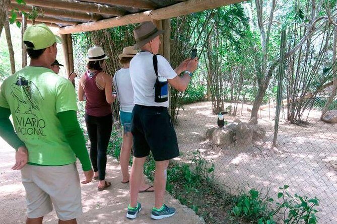 Eco Plan National Aviary and Lunch in Playa Mambo Beach Barú - Transfers and Timing: The 7-Hour Day That Still Feels Busy