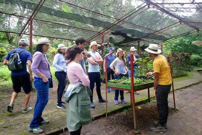 Exclusive Coffee Experience:Tour from Bogotá - Tasting Coffee Like a Local: What You’ll Drink and What to Ask