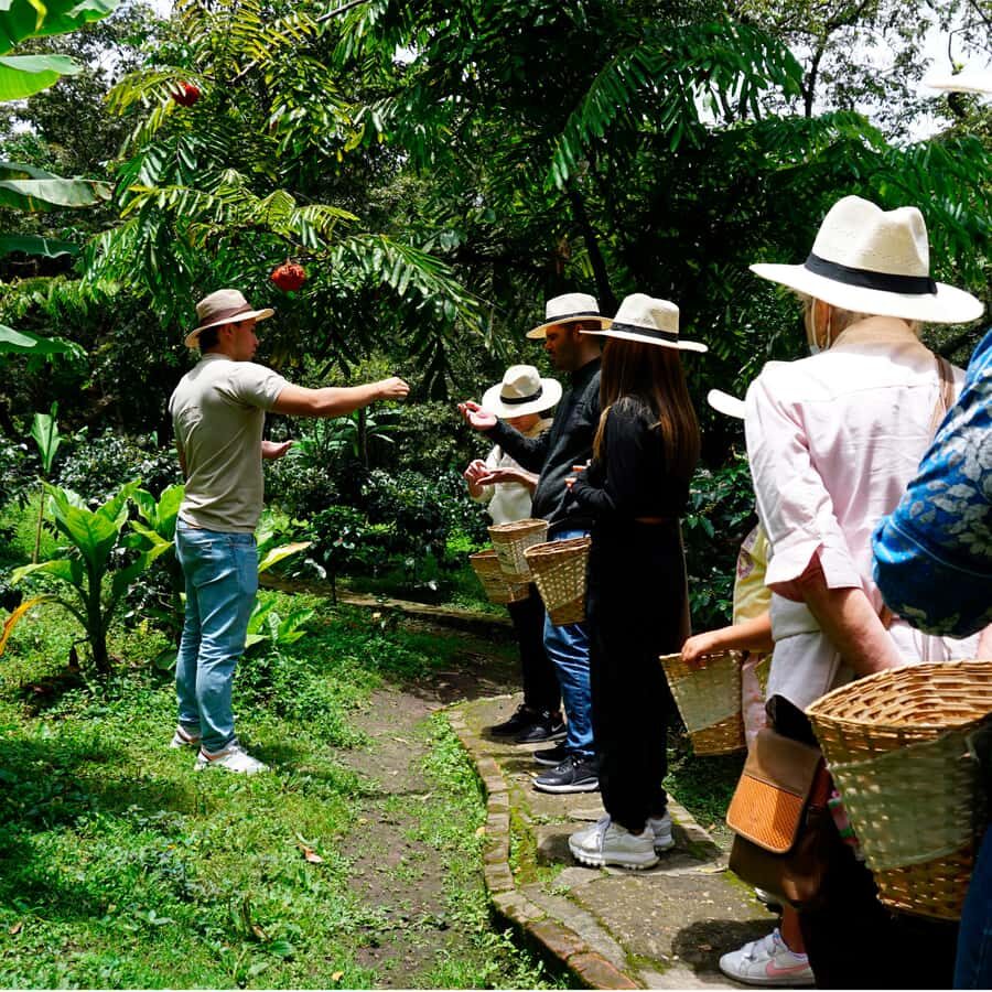 From Bogotá: Coffee Farm and Tequendama Falls Tour - A 9-hour country escape from Bogotá to coffee and waterfall views
