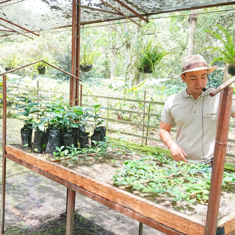 From Bogotá: Coffee Farm and Tequendama Falls Tour - Fusagasugá: your breathing space before the coffee farm
