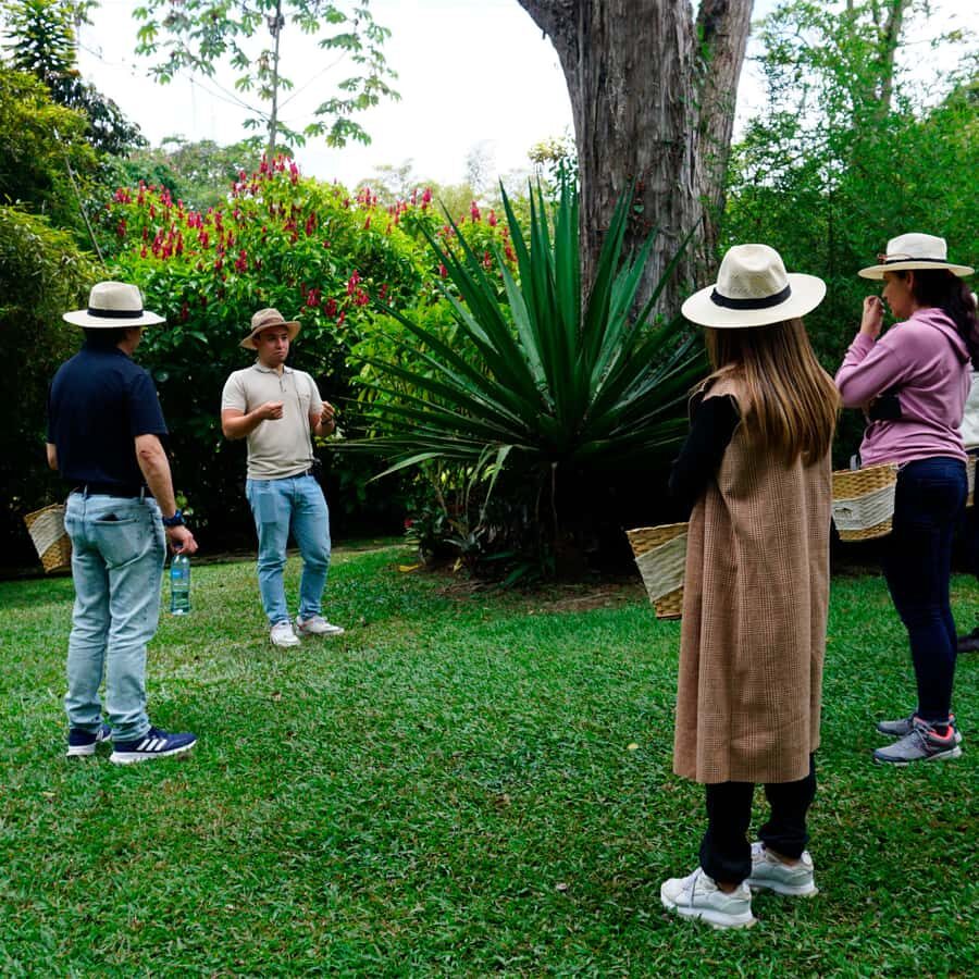 From Bogotá: Coffee Farm and Tequendama Falls Tour - Should you book this Bogotá coffee farm and Tequendama Falls trip?
