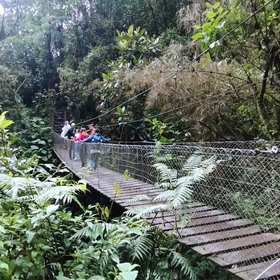 From Bogota: La Chorrera Waterfall Guided Hike - Park community and path stations: where locals add meaning