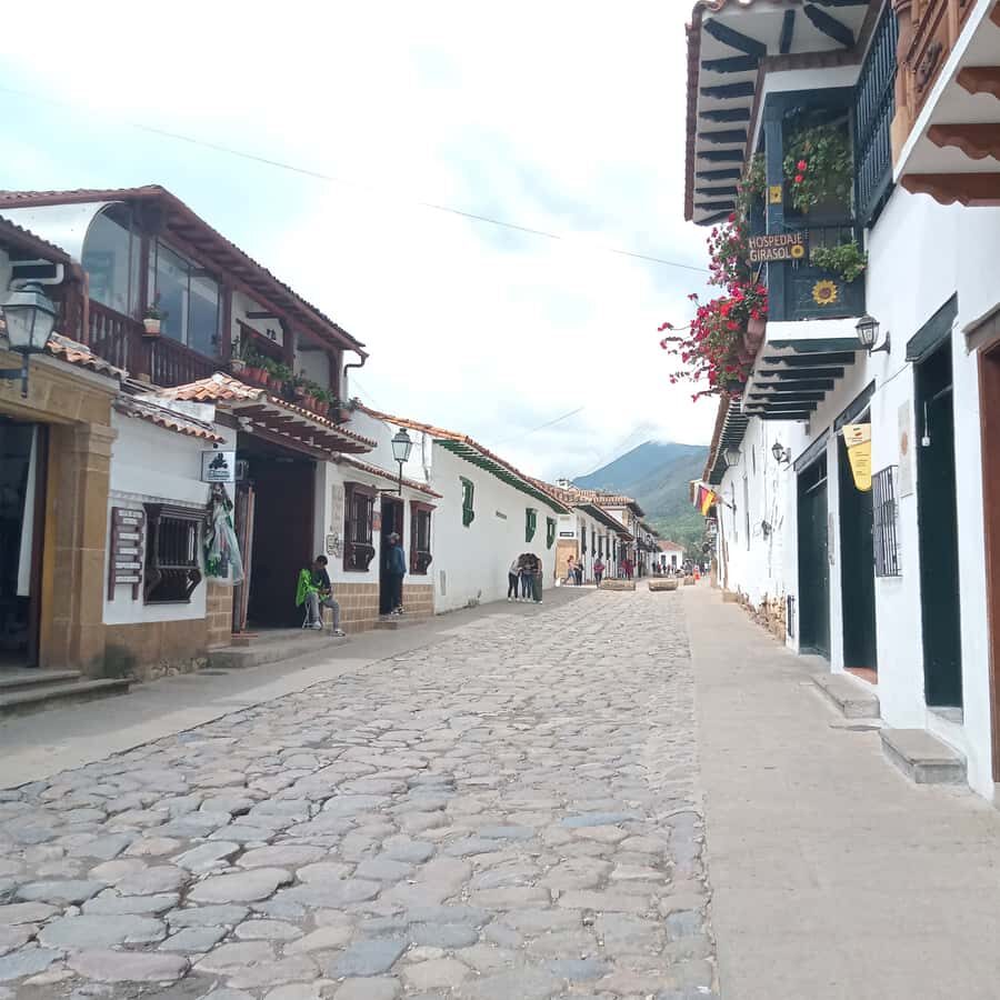 From Bogota: Villa de Leyva Day Magic Town Tour - What to bring (and how to avoid a rough day)