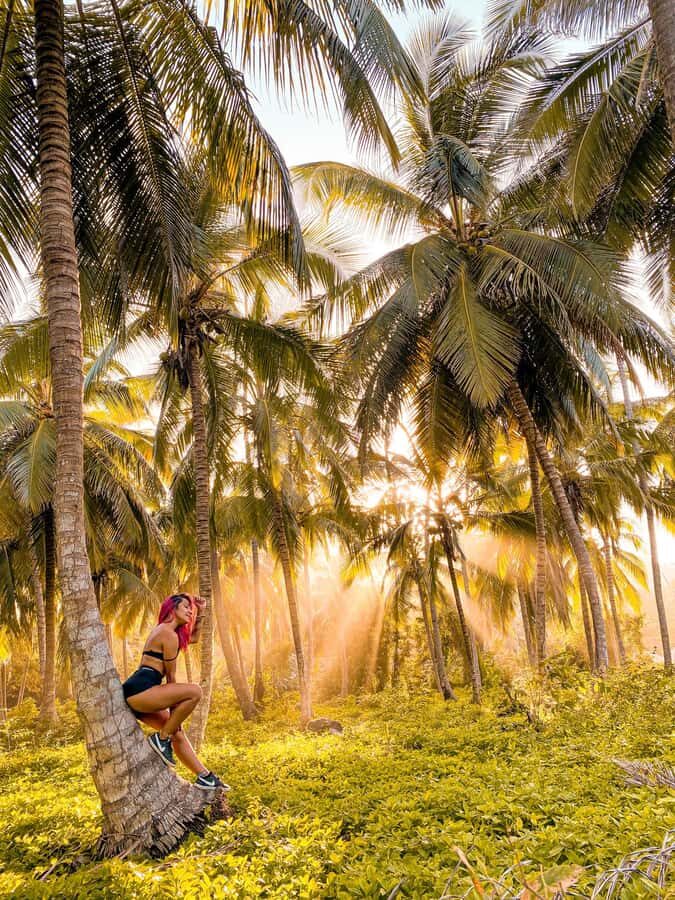 From Santa Marta: Tayrona National Park Guided Tour - Beach hop to Cabo San Juan: warm water, clear views, and a long break