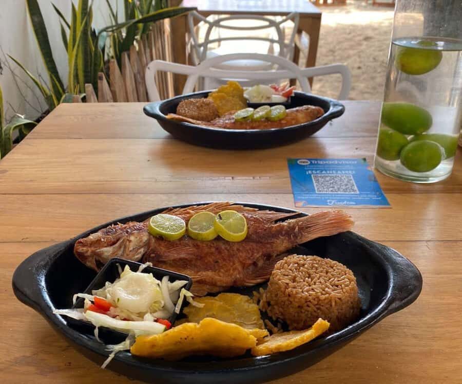 Full Day Barú island: Mangrove +Snorkel + Sunset + Plankton - Snorkeling the Rosario waters: what to expect and how to protect your time
