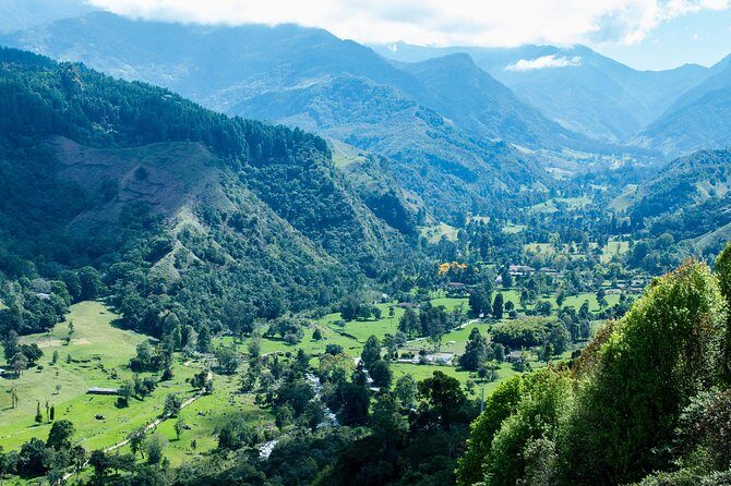 Full-Day Private Coffee Tour in Cocora Valley and Salento - Private coffee day from Pereira: the point of this 8-hour loop