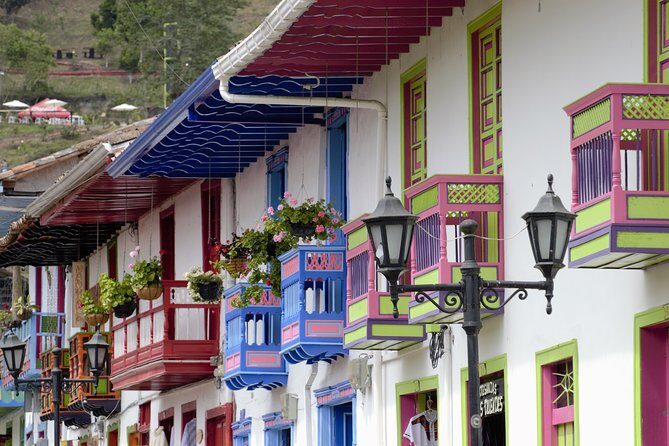 Full-Day Private Coffee Tour in Cocora Valley and Salento - Who should book this Cocora and Salento coffee tour?
