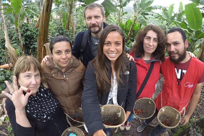 Full-Day Private Coffee Tour in Cocora Valley and Salento - Salento coffee farm: from picking seeds to tasting real coffee