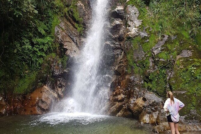 Half Day Waterfall Tour from Medellin - Envigado Natural Reserve: a second nature stop that keeps the day balanced