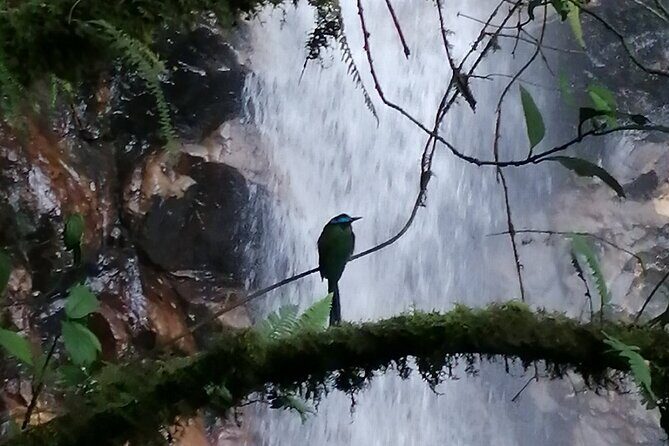 Half Day Waterfall Tour from Medellin - Who Should Book This Half-Day Waterfall Tour
