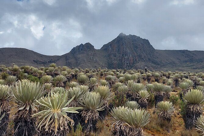Hiking to the largest paramo on earth : Sumapaz - Why Sumapaz is the big deal for Bogotá