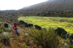 Hiking to the largest paramo on earth : Sumapaz - A 7:30 AM start and a small-group hike into Parque Nacional Natural Sumapaz
