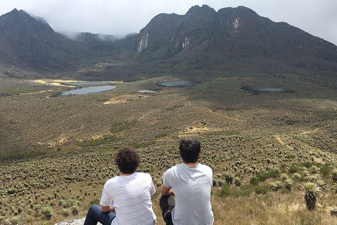 Hiking to the largest paramo on earth : Sumapaz - The páramo world you’ll meet: water, plants, and high-altitude survival