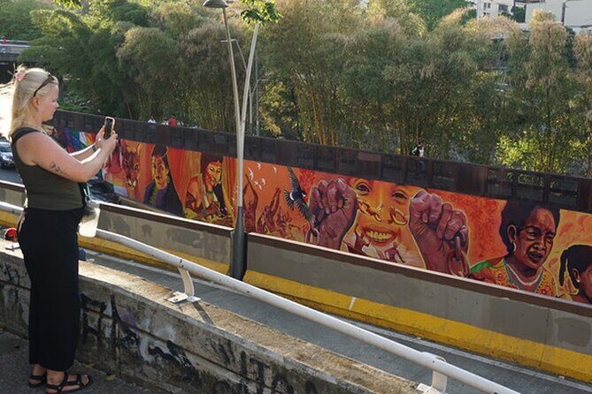 Historical Shared Tour Salsa, Graffiti & Resistance in Cali - La Calle de la Escopeta: Street Art as Public Storytelling
