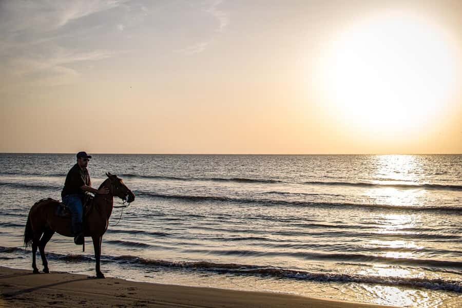 HORSE TOUR IN CARTAGENA BEACH - Why Manzanillo del Mar horseback riding is a smart Cartagena break
