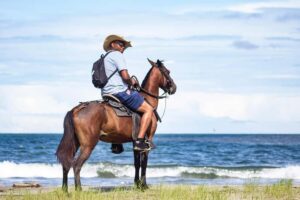 HORSE TOUR IN CARTAGENA BEACH - Getting there from Cartagena and cruise ports: how pickup plays out